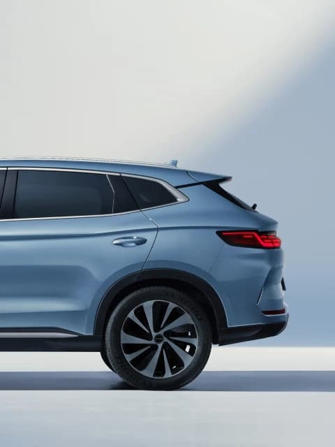 Elegantna 48-cm (19") platišča